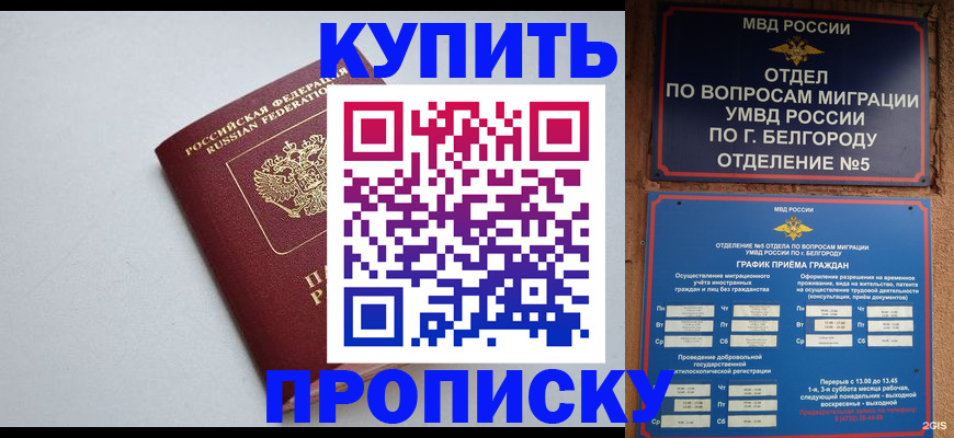 прописка регистрация в Павлово